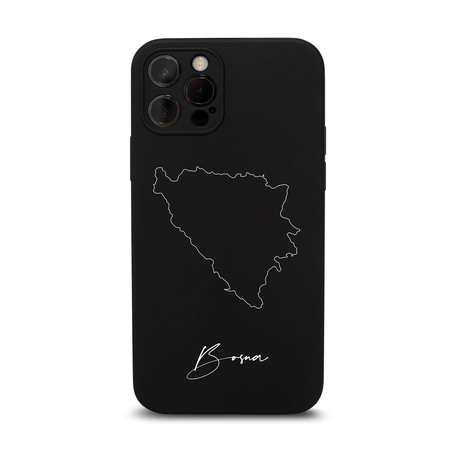 Bosnia Case